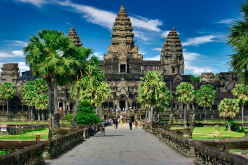 A stone path leading to Angkor Wat with bright green palm trees